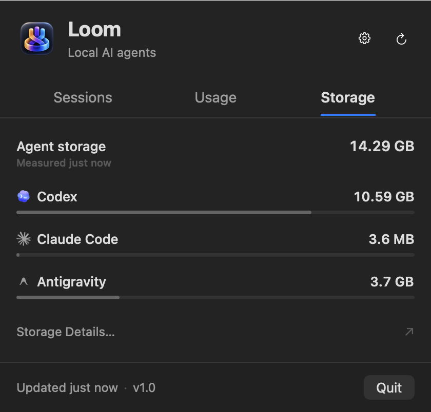 Loom Storage tab showing measured local disk footprint per provider
