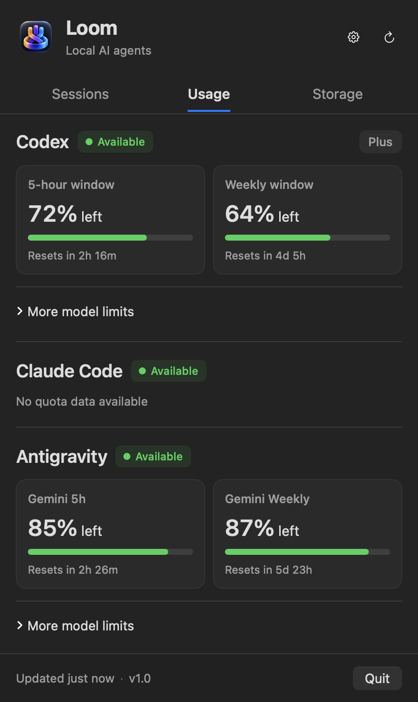 Loom Usage tab showing real-time quota progress and model limits